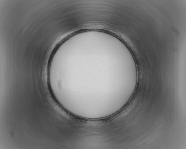 X0000113870840200910221333