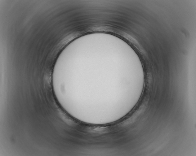 X0000113870841200910221333
