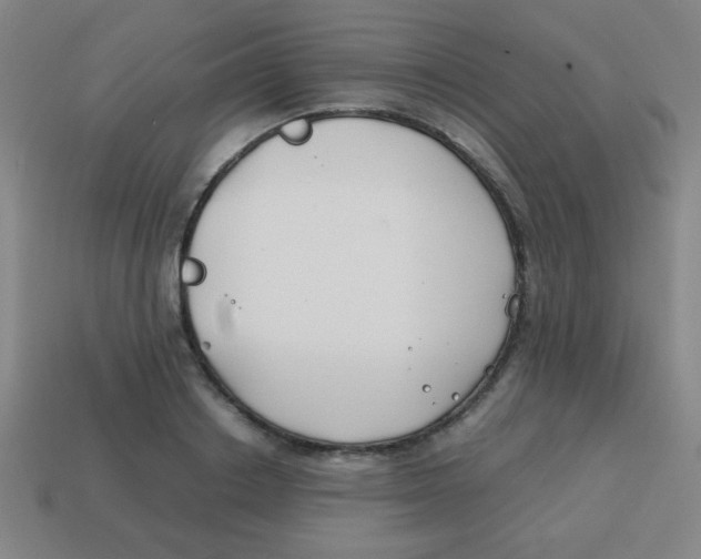 X0000113870842200910221333