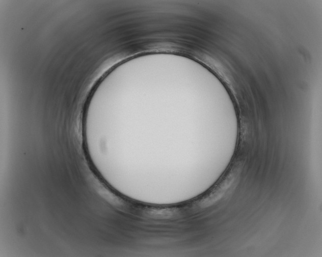 X0000113870843200910221333