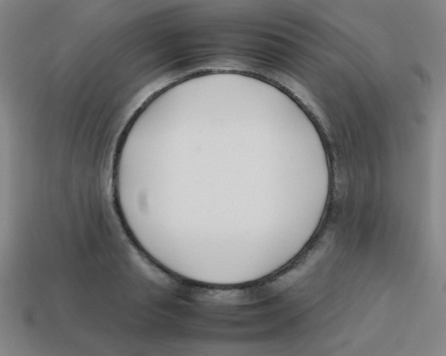 X0000113870845200910221333