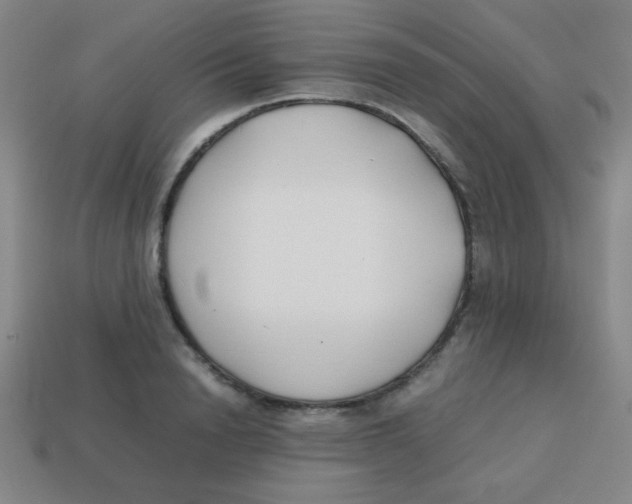 X0000113870846200910221333