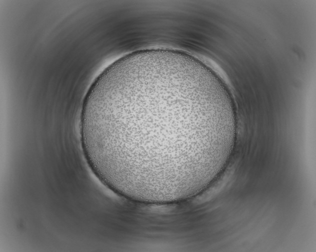 X0000113870847200910221333