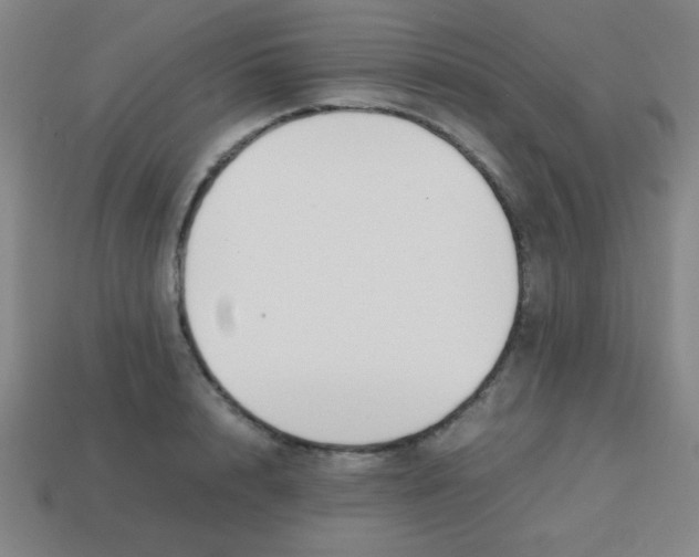 X0000113870848200910221333
