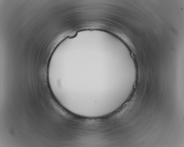 X0000113870850200910221333