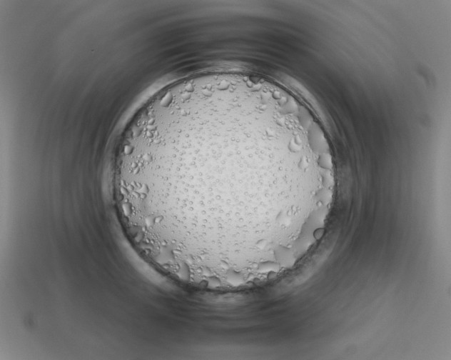 X0000113870851200910221333