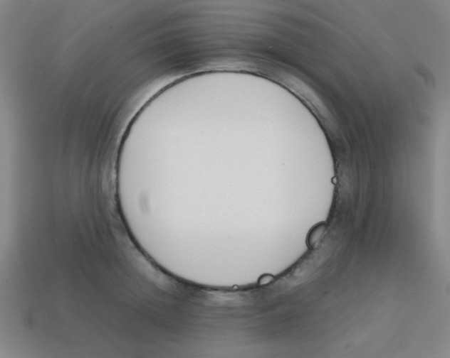 X0000113870852200910221333