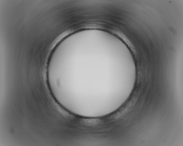 X0000113870853200910221333