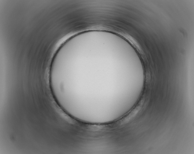 X0000113870854200910221333