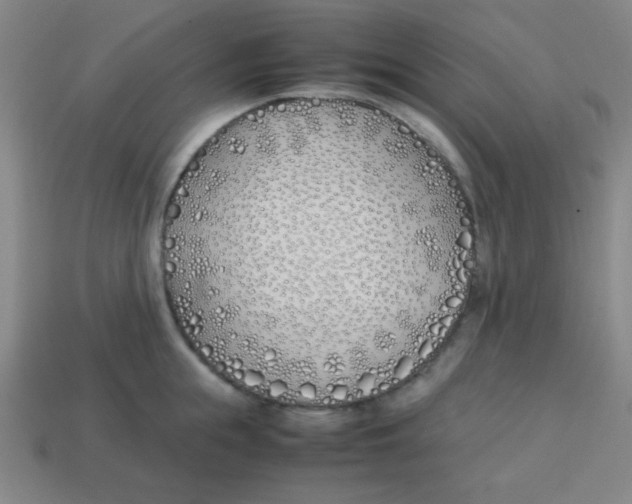 X0000113870855200910221333