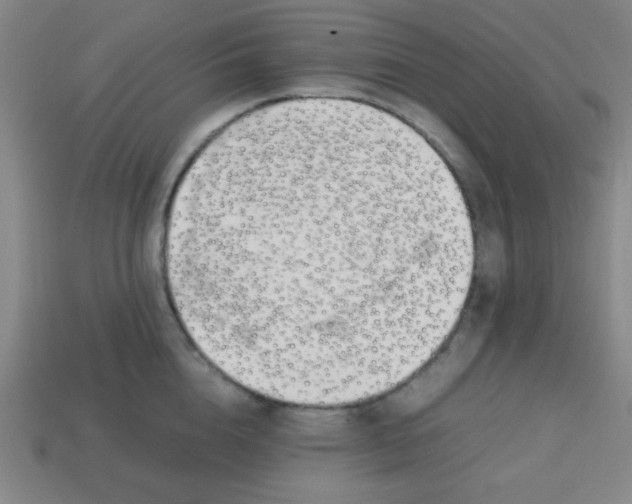 X0000113870856200910221333