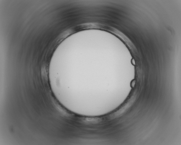 X0000113870857200910221333