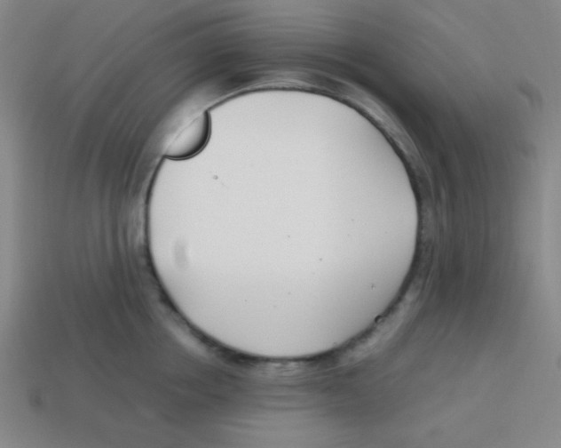 X0000113870858200910221333