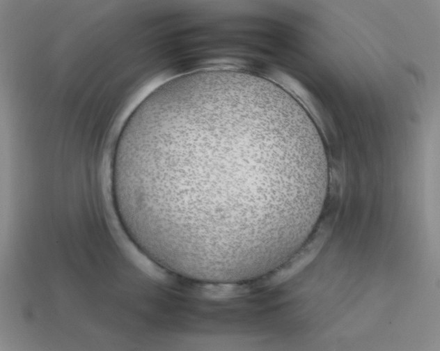 X0000113870859200910221333
