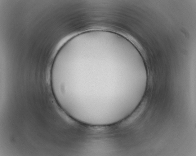 X0000113870862200910221333