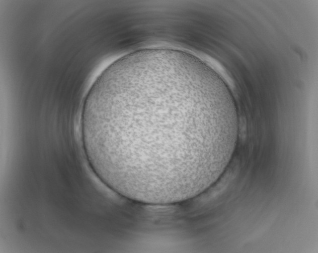 X0000113870863200910221333
