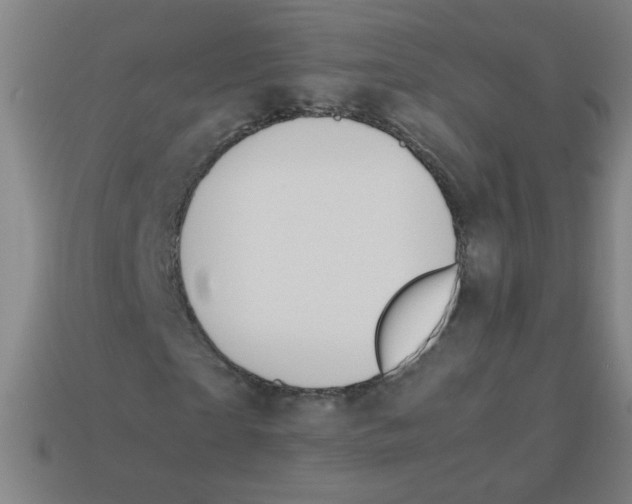 X0000113870865200910221333