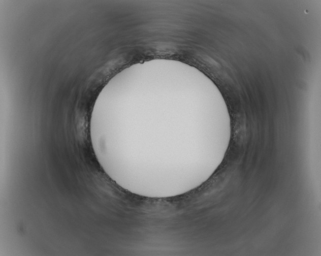 X0000113870866200910221333