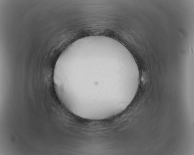 X0000113870867200910221333