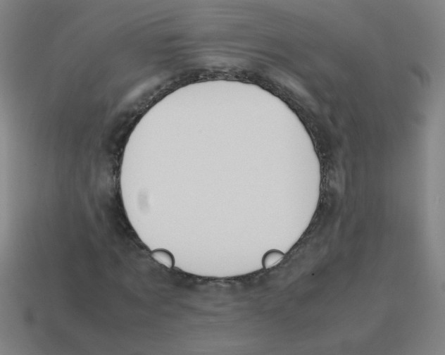 X0000113870869200910221333