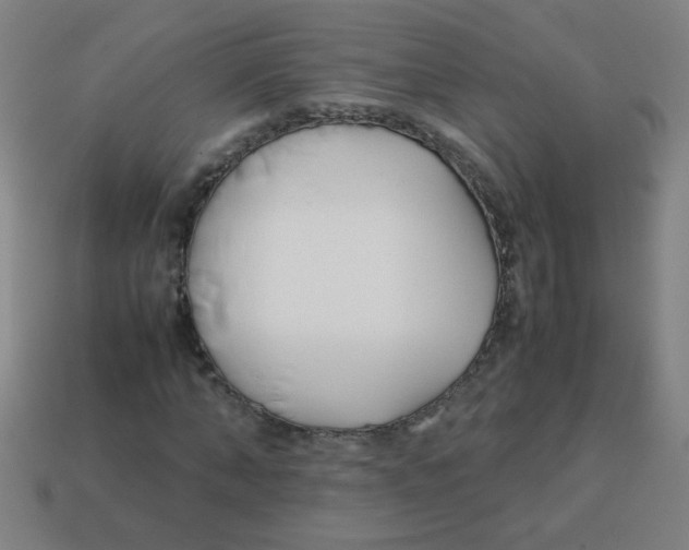 X0000113870870200910221333