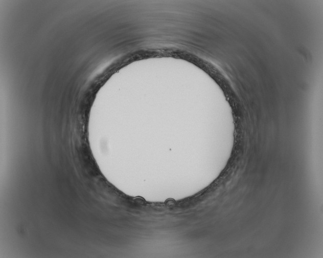 X0000113870871200910221333