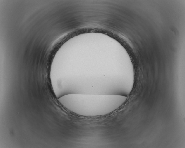 X0000113870872200910221333