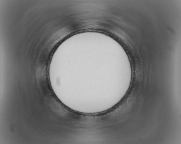 X0000113870873200910221333
