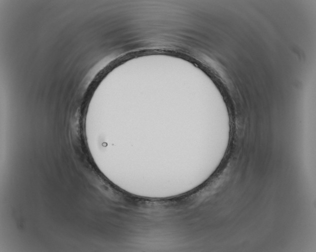 X0000113870875200910221333