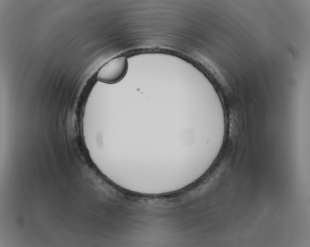 X0000113870876200910221333