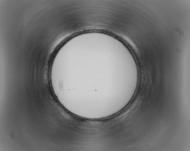 X0000113870878200910221333