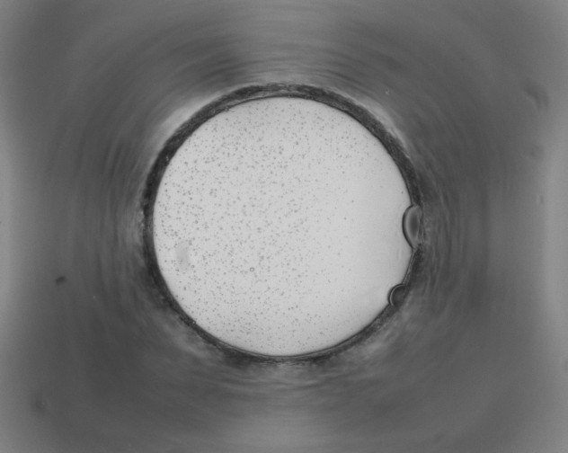 X0000113870879200910221332
