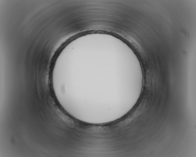 X0000113870880200910221332