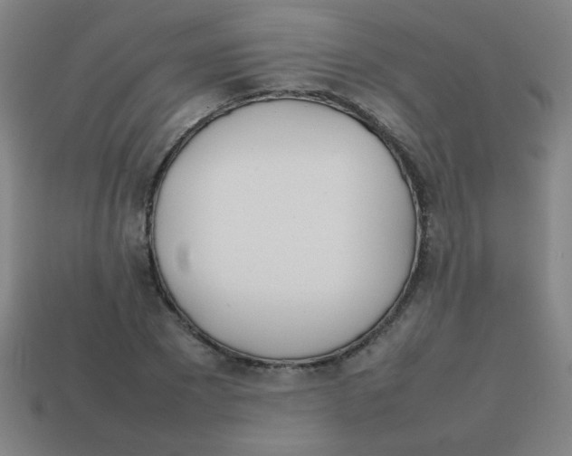 X0000113870881200910221332