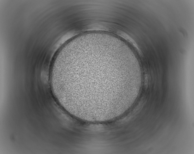 X0000113870882200910221332