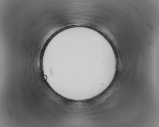 X0000113870883200910221332