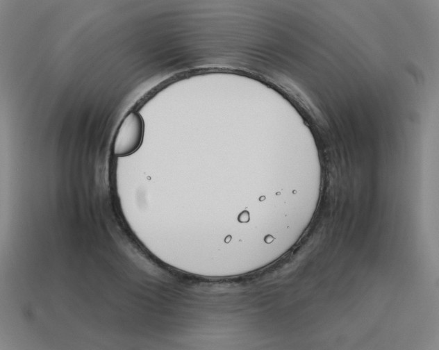 X0000113870884200910221332