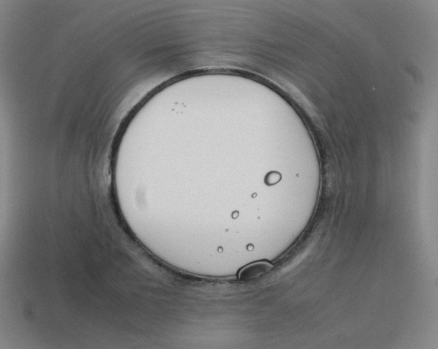 X0000113870885200910221332