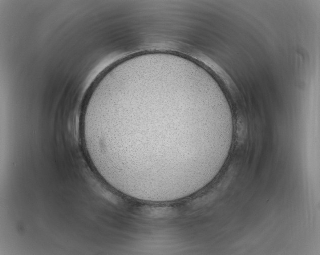 X0000113870886200910221332
