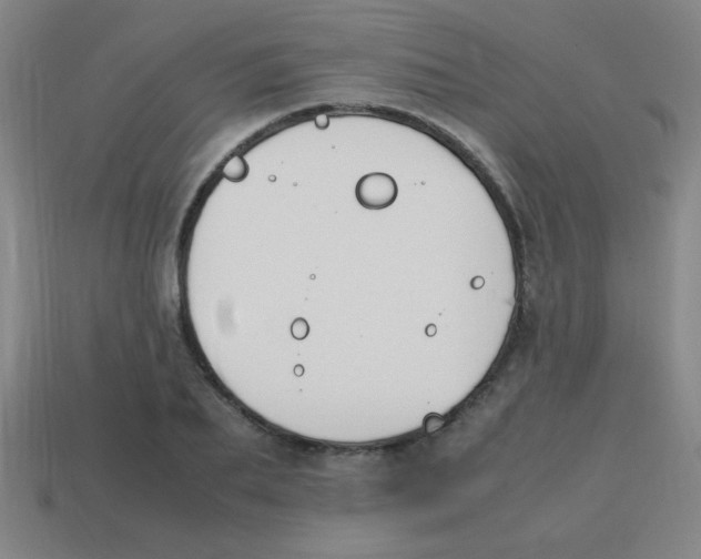 X0000113870887200910221332