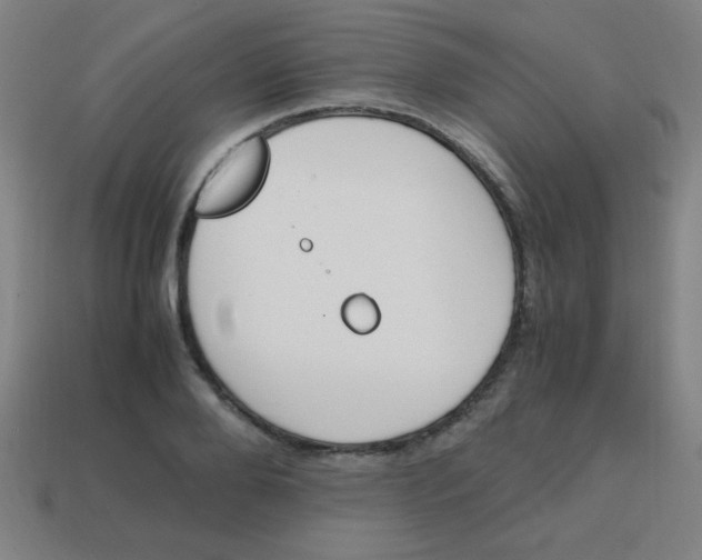 X0000113870888200910221332