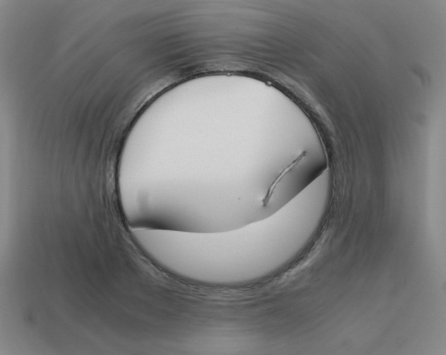 X0000113870889200910221332