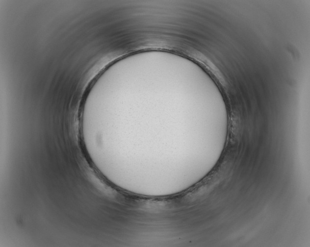X0000113870890200910221332