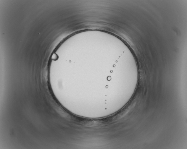 X0000113870891200910221332