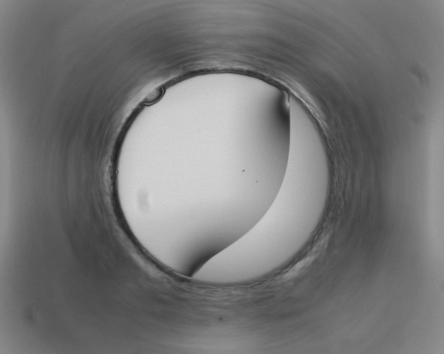 X0000113870893200910221332