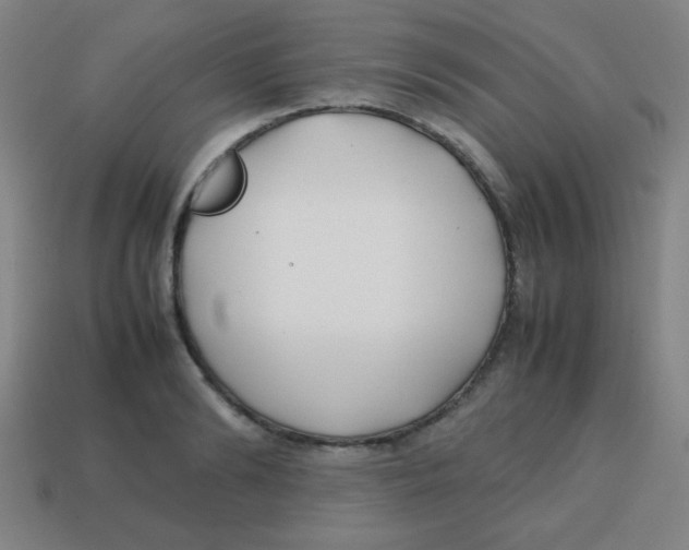 X0000113870894200910221332