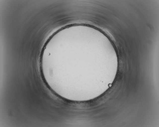 X0000113870895200910221332