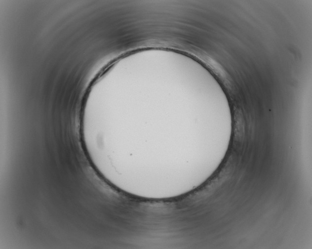 X0000113870896200910221332