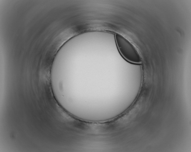X0000113870897200910221332