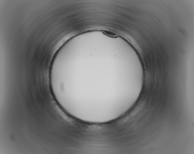 X0000113870898200910221332
